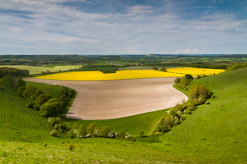 Cranborne Chase
